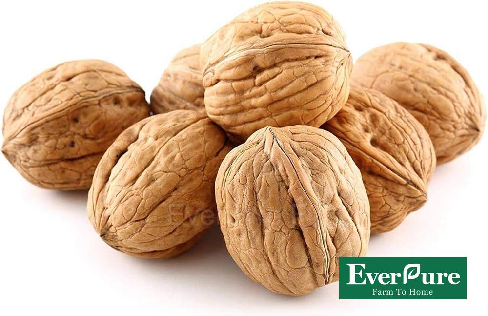 Premium Jumbo Inshell Walnuts (500 GMS)